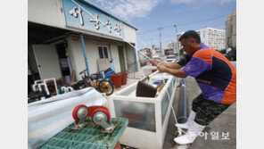 묶고…쌓고…“힌남노 대비하자”