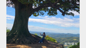 영화 촬영장소로 유명한 부여 ‘사랑나무’