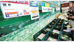 텅 빈 배추 매장… 정부 “농산물 공급 확대”