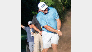 “반바지도 OK… LIV는 다르다”