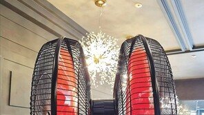 [고양이 눈]안녕, 여름