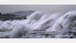 제주 오전 8시부터 전역 태풍경보 발효