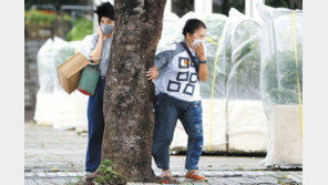 日오키나와, 태풍 ‘힌남노’에 5480여채 정전… 가로수-표지판 쓰러져 차량통행 중단되기도