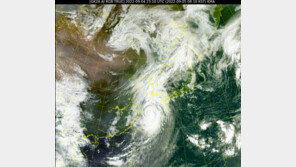 “힌남노, 경로 의미 없다…12시간만 버텨달라” 기상청장의 당부
