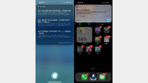 ‘독도 누구땅?’ 엉터리 답했던 시리…지금은 “한국, 영토주권 행사”