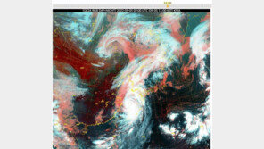 ‘매미·사라’보다 센 힌남노, 왜?…“세력확장 팽이질, 이런 태풍 처음”