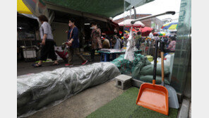 태풍 ‘힌남노’ 북상…남부지역 도로·공항·항만 통제 초비상