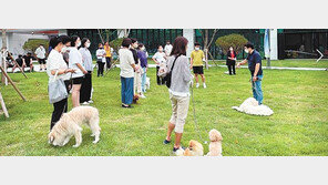 대전시 “가족과 반려동물 에티켓 교육 받으세요”