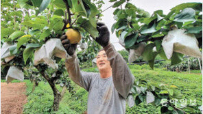 풍년을 기대하는 농심