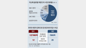 경제규모 작은 대만, 반도체 대기업은 한국 2배… “정부 지원의 힘” 