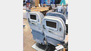 [고양이 눈]어디로 가나요?