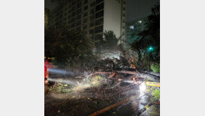 ‘힌남노’ 할퀴고 간 부산, 1만1천여가구 정전
