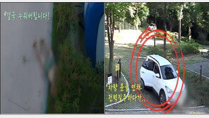 옷 벗고 달리고 허공에 고함치고…‘캠핑장 마약 좀비 3인방’ 검거