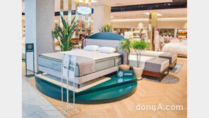 지누스 인수한 현대百그룹, 계열사간 시너지 본격 확대 나선다