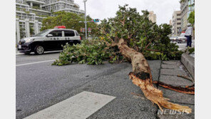 힌남노로 日서 2명 사망…규슈 초속 50m, 시코쿠 250㎜ 폭우