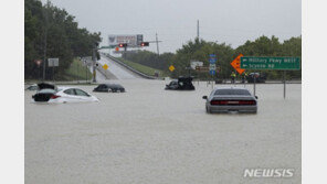 美 올여름 내내 이상기후…동부엔 홍수, 서부엔 폭염·산불 기승