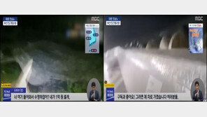 “여기서 수영하면 1억 줄게”…‘위험천만’ 태풍 생중계한 유튜버