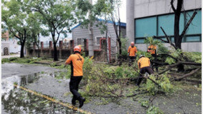 민주 “법무부, 태풍 비상대기에도 술판…야당 탄압만 골몰”