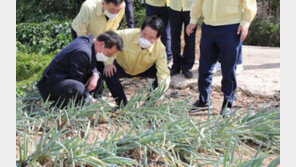 ‘포항 지하주차장 교훈’…김영록 전남지사 “사고예방 매뉴얼 만들 것”