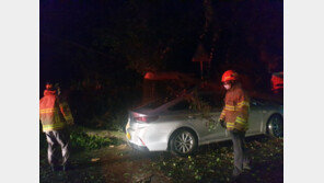 ‘힌남노’로 전국 학교 134곳 피해…부산·울산·경남 61% 집중
