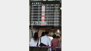 항공기 운항 재개