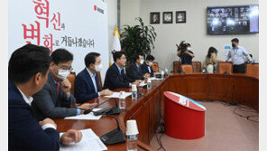 새 원내대표 김학용-윤재옥-김태호 거론, 여권 일부선 “주호영 추대해야” 주장도