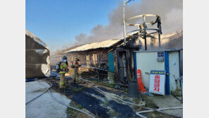 진천 오리 공장서 불…인명피해 없어