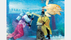 추석맞이 수중 떡메 치기