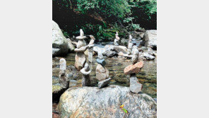 [고양이 눈]균형의 예술