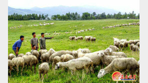 북한, 강동군에 대규모 축산기지 건설…“1단계 공사 이미 완료”