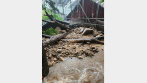 ‘힌남노’가 할퀸 석굴암·불국사…기와 떨어지고 화장실 훼손 복구 중