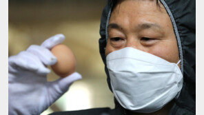 올해 살모넬라균 감염증 20% 증가…“달걀 취급 조심해야”