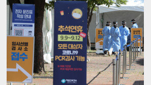 추석연휴 임시선별검사소 다수 운영…고속도로 휴게소 9곳 무료 PCR