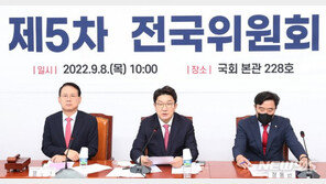 與, 전국위서 정진석 비대위원장 임명안 의결…새 비대위 공식 출범