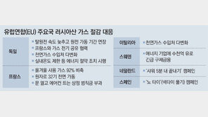 EU “러産 석유 이어 가스에도 가격상한제 검토”… 에너지 大戰 