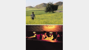 거리두기 없는 ‘영화의 바다’ 열린다