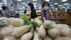 배추-무 가격 일주일새 50% 안팎 폭등