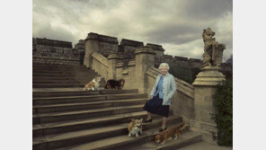 英 여왕이 키우던 반려견…직접 선물했던 앤드루 왕자가 다시 키운다