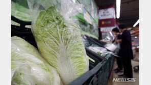 태풍에 배추·무 일주일 새 50% ‘폭등’…차례상 비용 더 뛴다