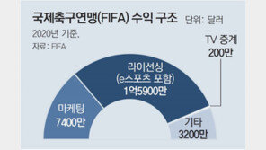 K리그 중계하는 넥슨… 게임-스포츠 경계 허물다
