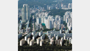 [사설]서울 아파트 9년 만에 최대 하락, 이젠 경착륙도 대비할 때