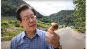 檢안팎 “이재명의혹, 이제부터 진짜 수사”… 野 ‘김건희 특검’ 맞불 