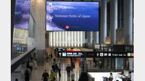 日, 관광객 무비자 재개 검토…입국자 수 상한 철폐도