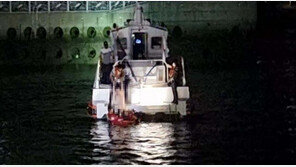 술 취해 바다 뛰어든 30대와 구하려고 입수한 친구…해경이 구조(영상)