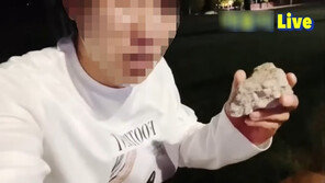 “고양이 걱정에…” 천연기념물 수리부엉이에 짱돌 던진 유튜버 논란
