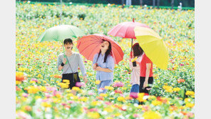 청송군 ‘산소카페 청송정원’ 인기