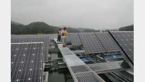 “文정부 태양광 부실 사업…전력기금 2616억 줄줄 새”