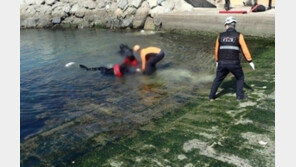 ‘동백항 차량 추락사’ 동거남 친형 증인 출석…“거짓말에 배신감 커”