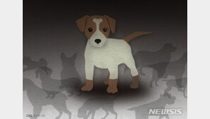 추석연휴 할머니댁 간 4살 여아, 이웃집 개에 물려 중상