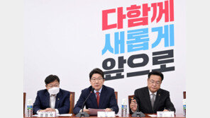 與, 이재명 “정적 제거에 역량 소모” 언급에 “도적 제거하려는 것”